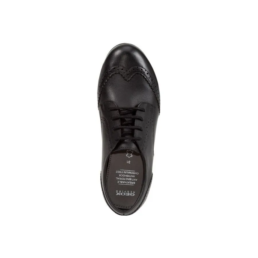 Geox Plie' Black Smooth Leather Lace Up School Shoe